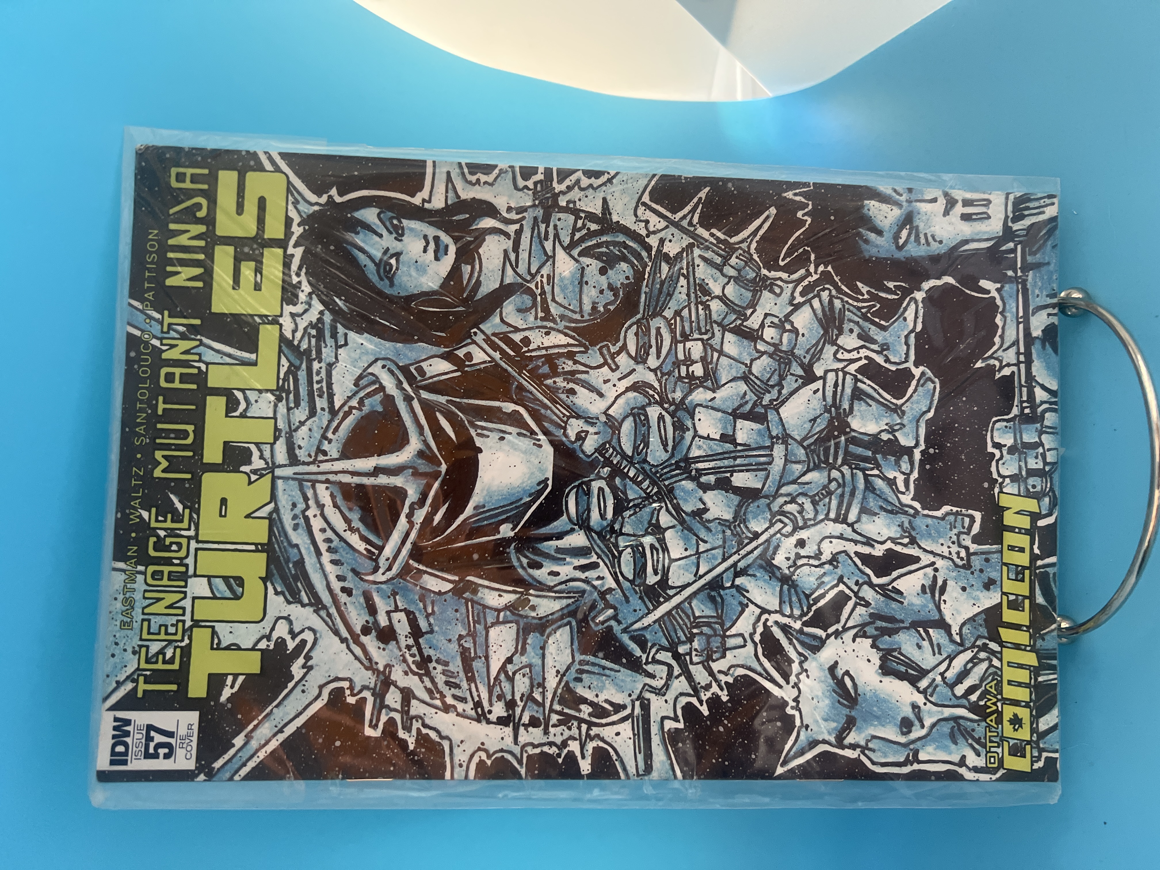 Teenage Mutant Ninja Turtles IDW #57 exclusive